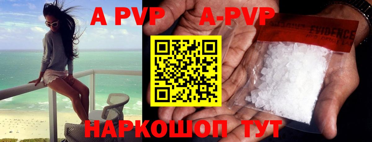 Alfa_PVP СК КРИС  А ПВП СК КРИС  Вход с VPN  Аргун 