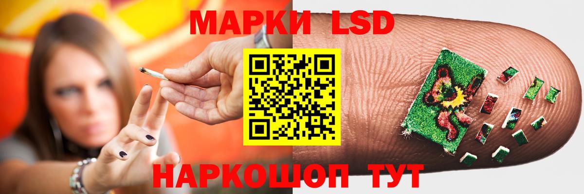 Псилоцибиновые грибы Аргун