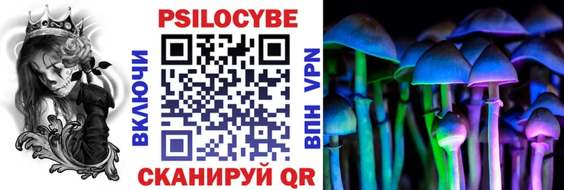 Псилоцибиновые грибы MAGIC MUSHROOMS  площадка официальный сайт  Аргун  где купить наркотик 