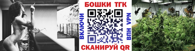 Бошки Шишки MAZAR  Аргун 