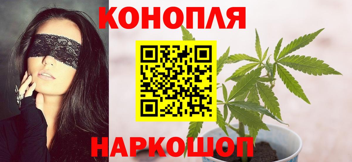 Марихуана планчик  Канабис гибрид  Аргун  Канабис THC 21%  Вход с VPN  Бошки Шишки индика 